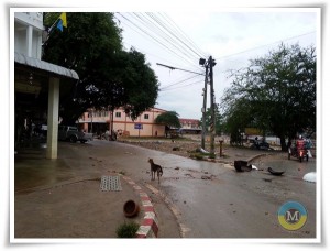 ถนนหนทางที่ถูกน้ำทวมบัดนี้เข้าสู่ภาวะปกติ