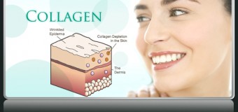 ประโยชน์และคุณค่าของคอลลาเจน (Collagen)