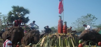 ชาวปากะญอ จัดงานวันอนุรักษ์ช้างไทย ช้างอาเซียน AEC “คนยัง..ช้างอยู่”