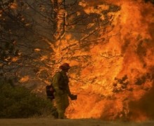 ไฟป่าแคลิฟอร์เนียยังลามไม่หยุด ล่าสุดเผาบ้านปชช.วอดทะลุ “1,000 หลัง”